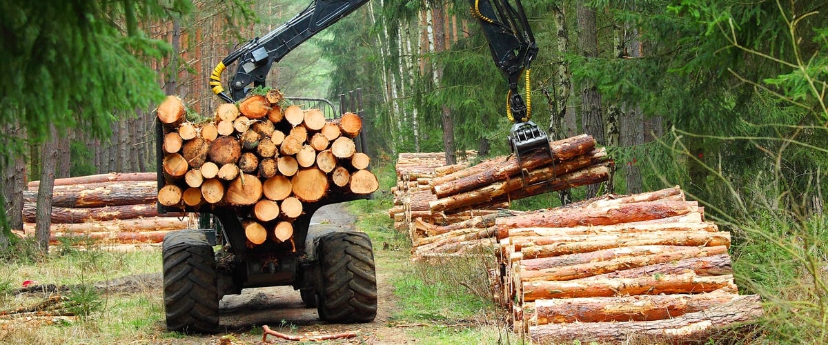 Skogsbrukets Yrkesnämnd.jpg